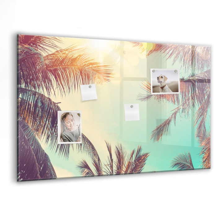 Tabla magnetica, Coloray, Palmieri tropicali, Multicolor, 90 x 60 cm, Magneti, Marker negru, 010640700060300088465