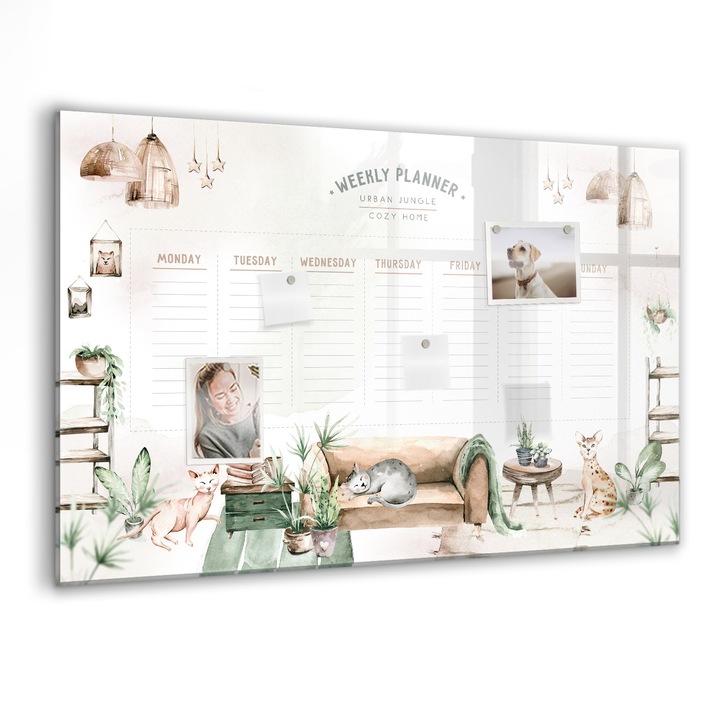 Tabla magnetica, Coloray, Planificator confortabil, Multicolor, 90 x 60 cm, Magneti, Marker negru, 010640700060300088458