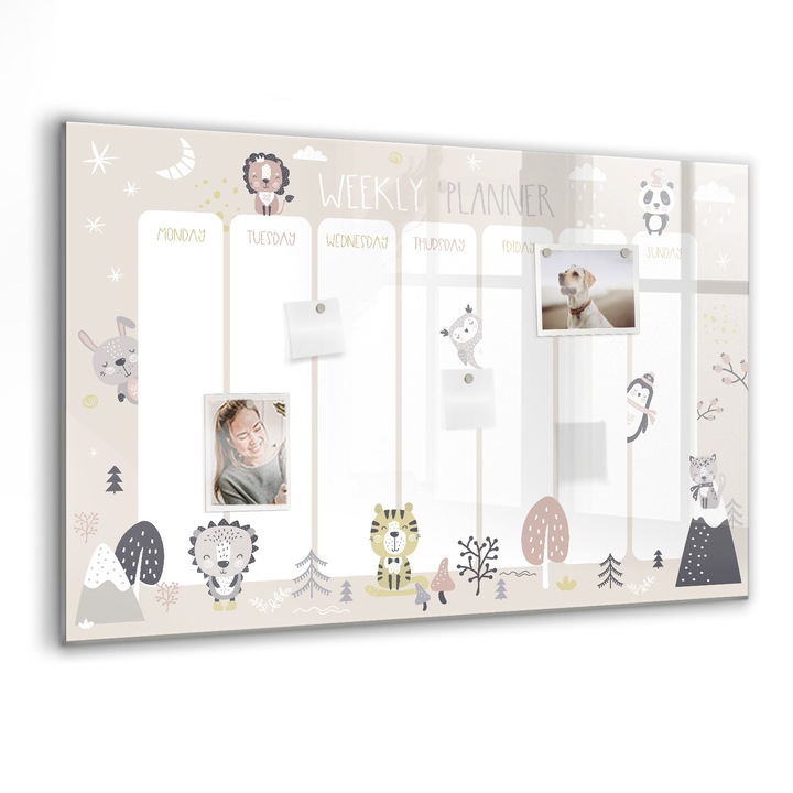 Tabla magnetica, Coloray, Planul saptamanal, Multicolor, 90 x 60 cm, Magneti, Marker negru, 010640700060300088444