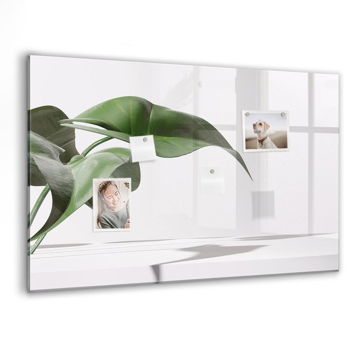 Tabla magnetica, Coloray, Frunze abstracte, Verde, 90 x 60 cm, Magneti, Marker negru, 010640700060300088434