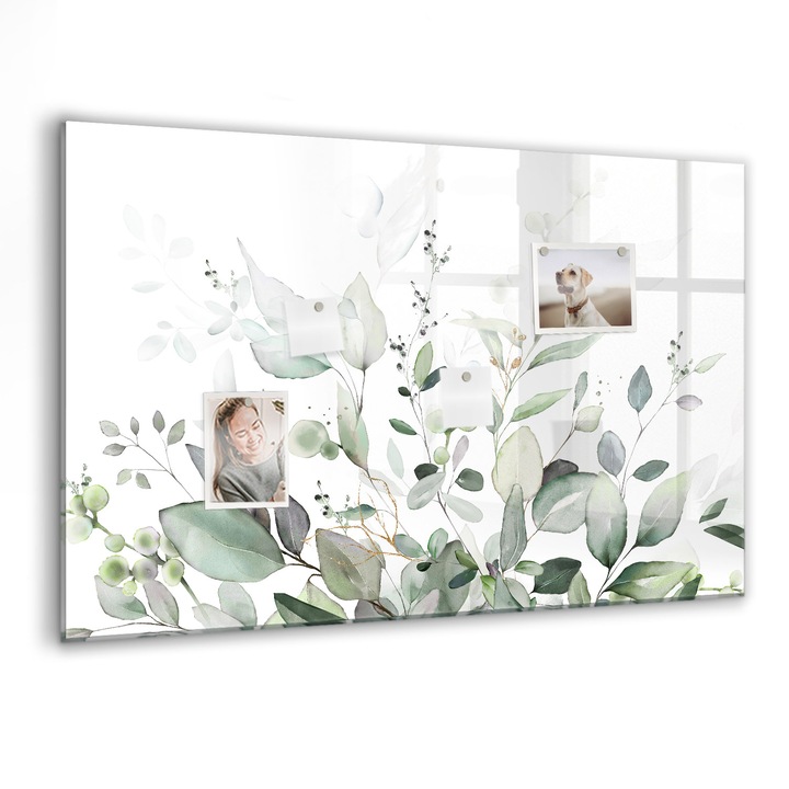 Tabla magnetica, Coloray, Planturi frunze, Verde, 90 x 60 cm, Magneti, Marker negru, 010640700060300088421