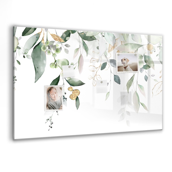 Tabla magnetica, Coloray, Planta Natura, Verde, 90 x 60 cm, Magneti, Marker negru, 010640700060300088422