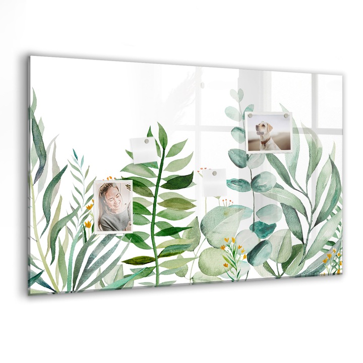 Tabla magnetica, Coloray, Frunze de acuarela, Verde, 90 x 60 cm, Magneti, Marker negru, 010640700060300088407