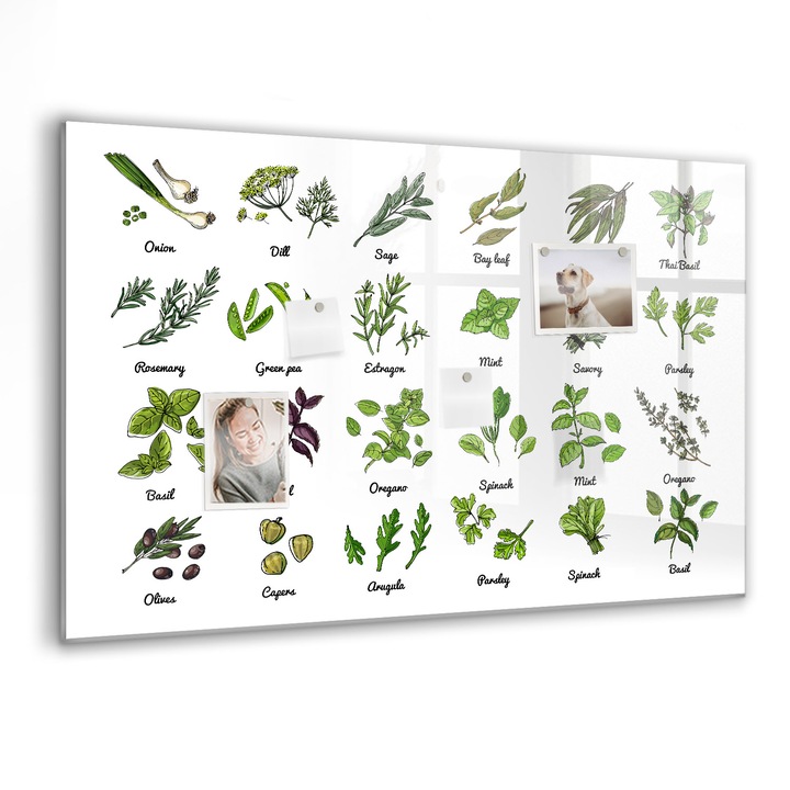 Tabla magnetica, Coloray, Tipuri de copaci, Verde, 90 x 60 cm, Magneti, Marker negru, 010640700060300260225