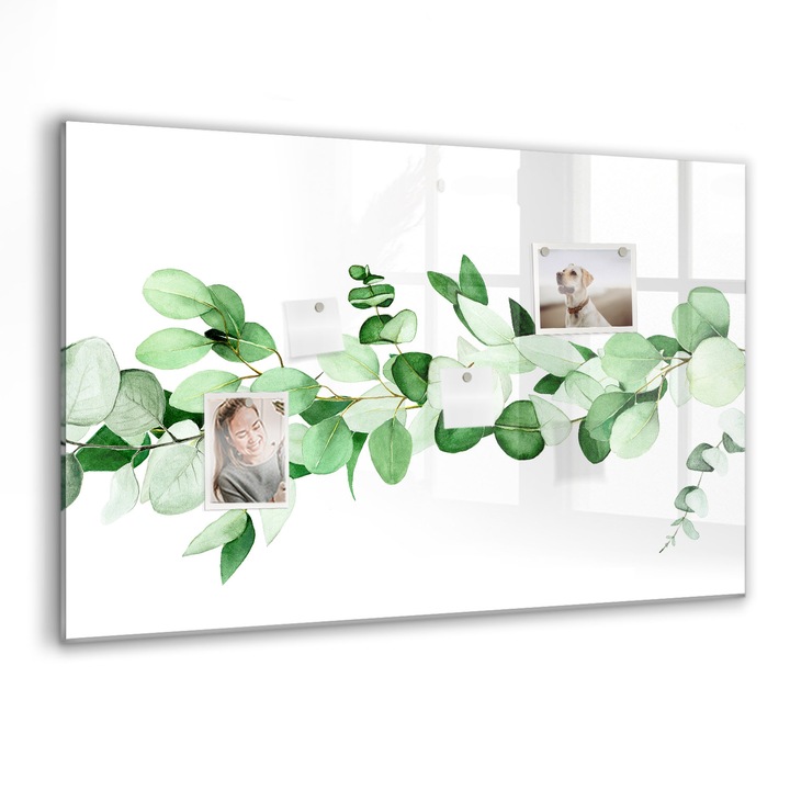 Tabla magnetica, Coloray, Ramuri ale plantei, Verde, 90 x 60 cm, Magneti, Marker negru, 010640700060300088405