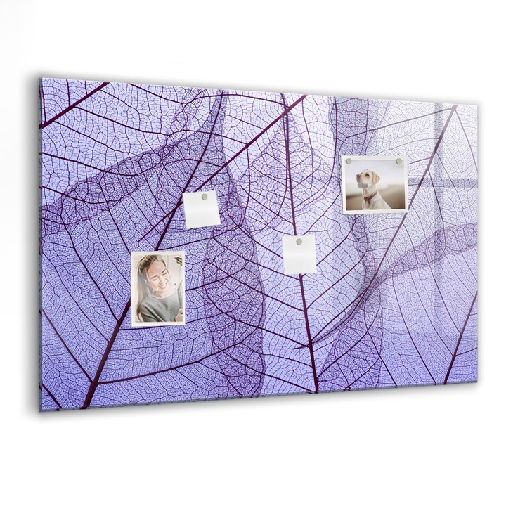 Tabla magnetica, Coloray, Natura pleaca, Mov, 90 x 60 cm, Magneti, Marker negru, 010640700060300088396