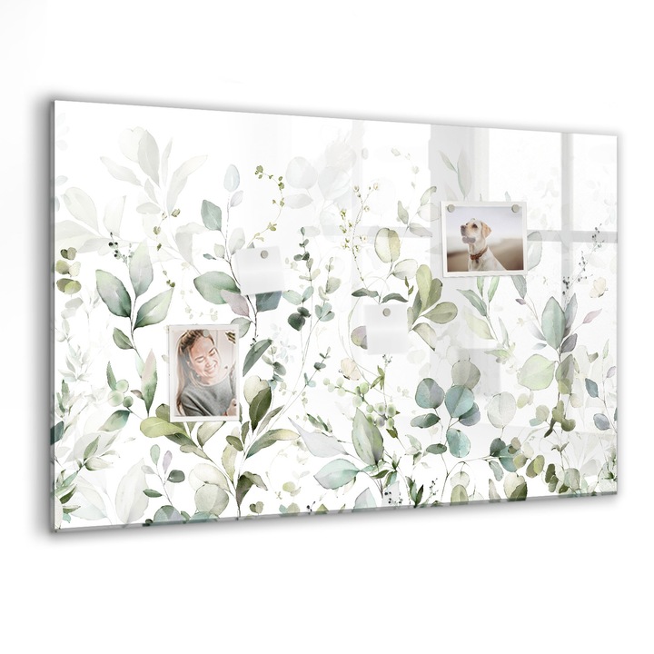 Tabla magnetica, Coloray, Planturi frunze, Verde, 90 x 60 cm, Magneti, Marker negru, 010640700060300088348