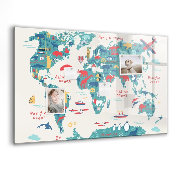 Tabla magnetica, Coloray, Harta pozei lumii, Multicolor, 90 x 60 cm, Magneti, Marker negru, 010640700060300088335