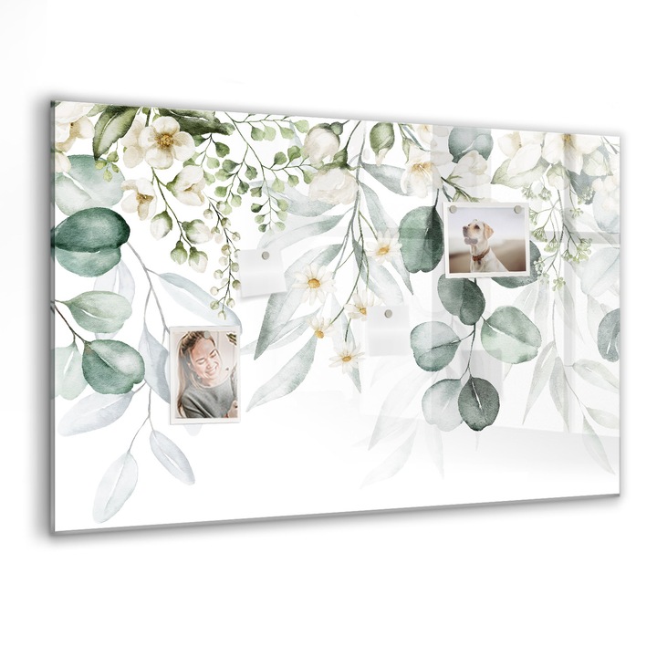 Tabla magnetica, Coloray, Plante naturale, Verde, 90 x 60 cm, Magneti, Marker negru, 010640700060300088310