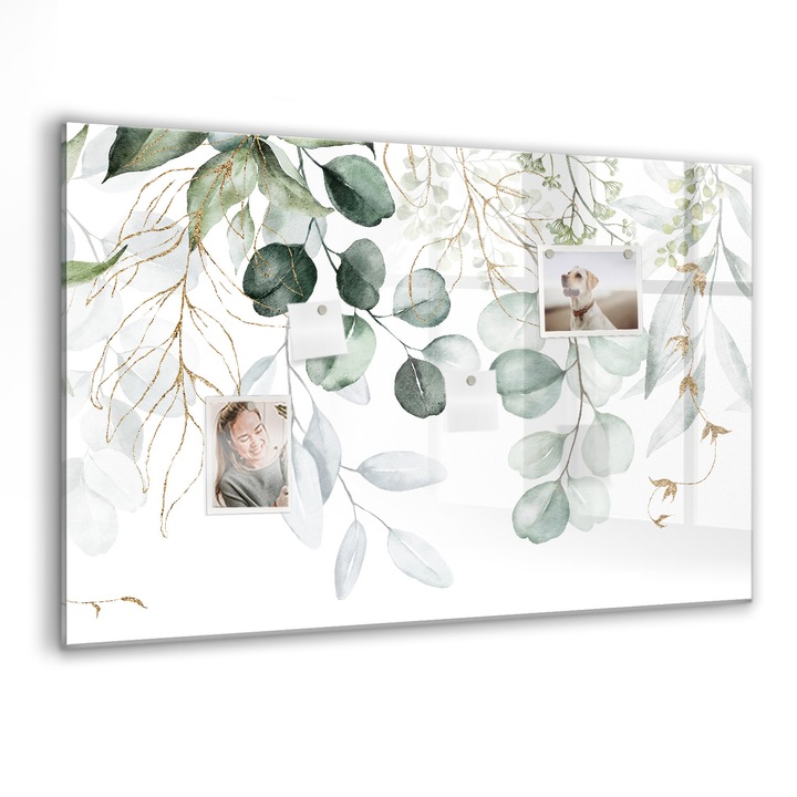 Tabla magnetica, Coloray, Plante agatate, Verde, 90 x 60 cm, Magneti, Marker negru, 010640700060300088308