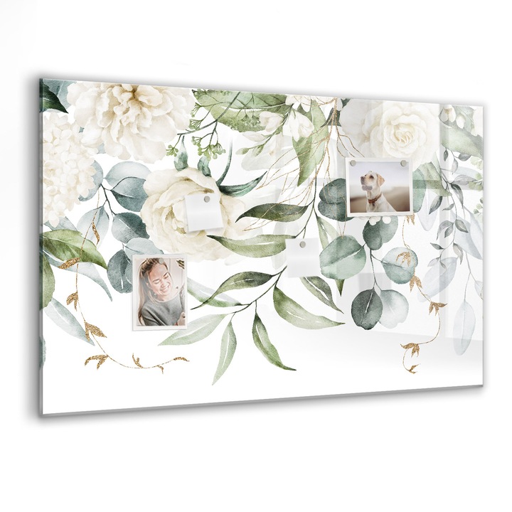 Tabla magnetica, Coloray, Natura, Verde, 90 x 60 cm, Magneti, Marker negru, 010640700060300088307