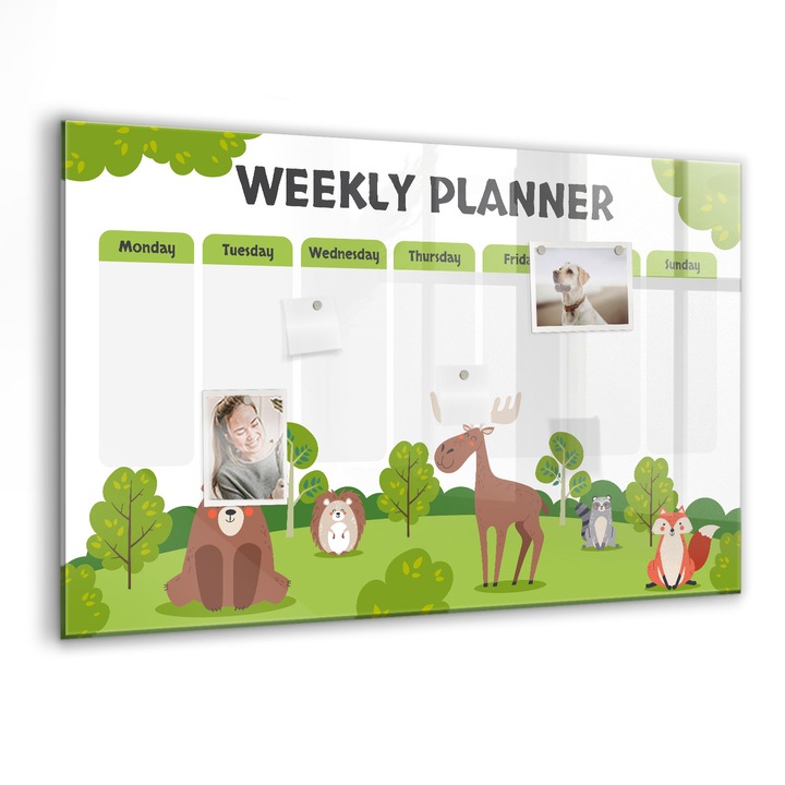 Tabla magnetica, Coloray, Planul lectiei, Verde, 90 x 60 cm, Magneti, Marker negru, 010640700060300088294