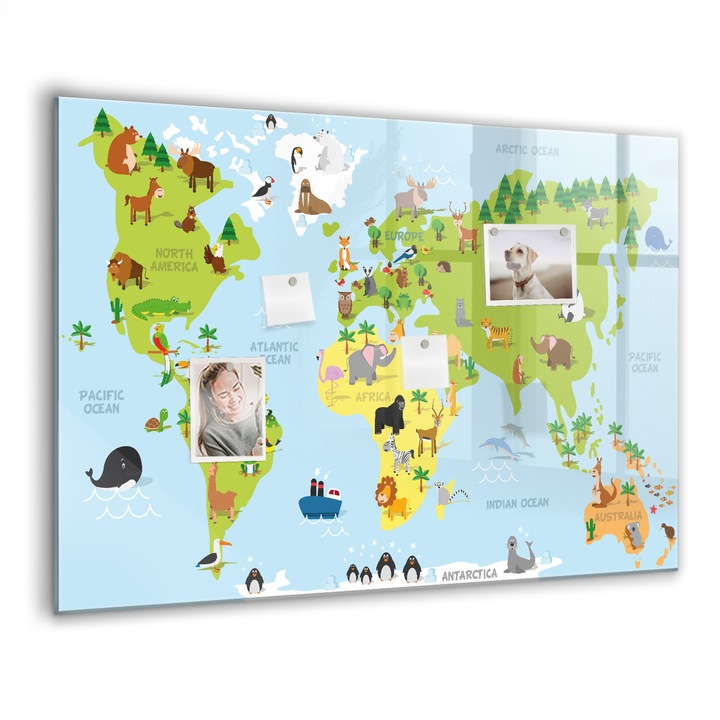 Tabla magnetica, Coloray, Harta lumii cu animale, Multicolor, 100 x 70 cm, Magneti, Marker negru, 010640700030300007751