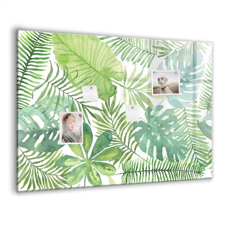 Mágneses tábla, Coloray, Trópusi levelek, Zöld, 100x70 cm, Fekete marker, 00088773