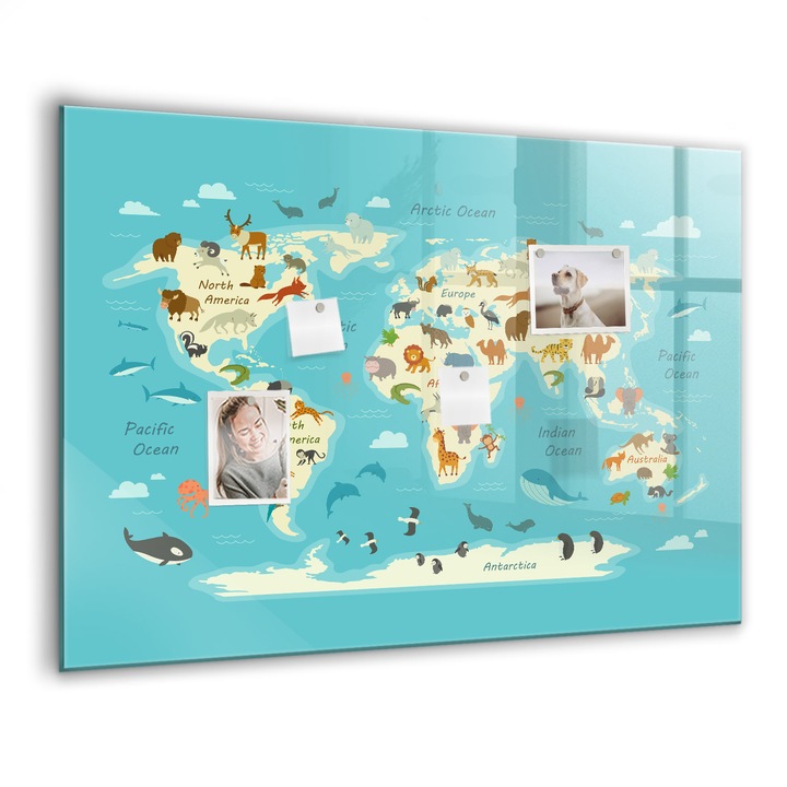 Mágneses tábla, Coloray, Az állatvilág térképe, Kék, 100x70 cm, Fekete marker, 00088727