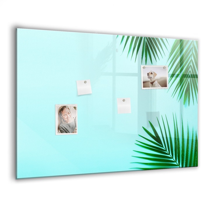 Mágneses tábla, Coloray, Trópusi levelek, Zöld, 100x70 cm, Fekete marker, 00260209