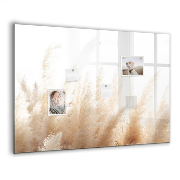 Mágneses tábla, Coloray, Gabona absztrakció, Barna, 100x70 cm, Fekete marker, 00088628