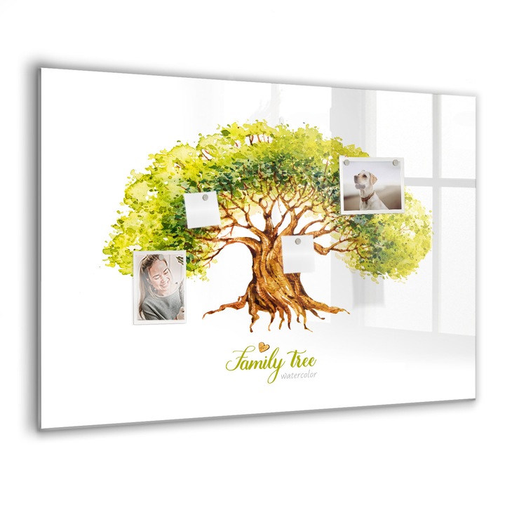 Mágneses tábla, Coloray, Családfa, Fehér, 100x70 cm, Fekete marker, 00088542