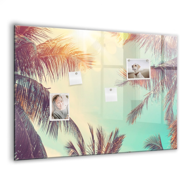 Tabla magnetica, Coloray, Palmieri tropicali, Multicolor, 100 x 70 cm, Magneti, Marker negru, 010640700030300088465