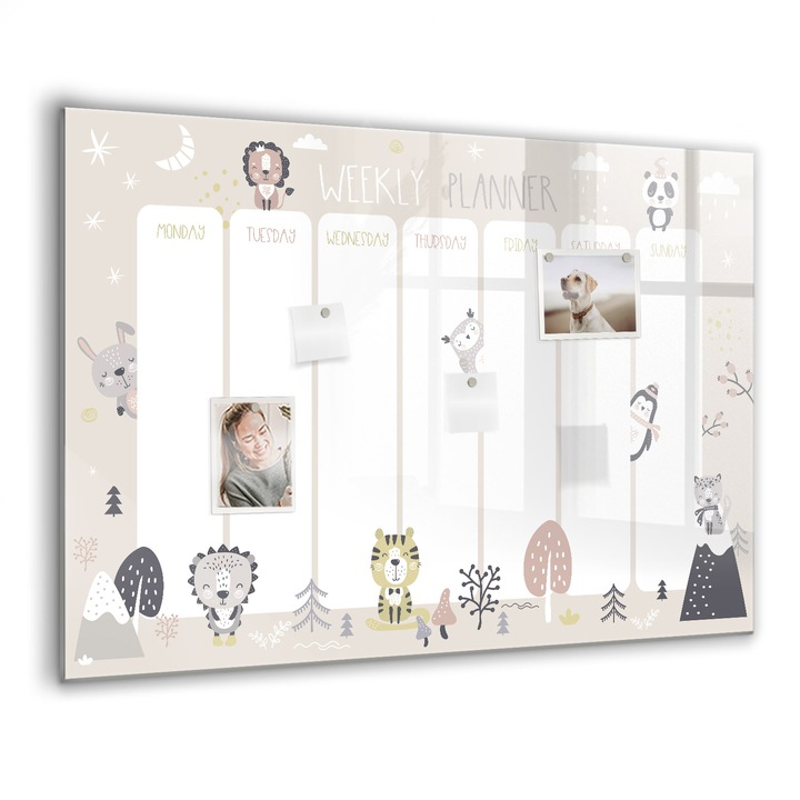 Mágneses tábla, Coloray, Heti terv, Többszínű, 100x70 cm, Fekete marker, 00088444