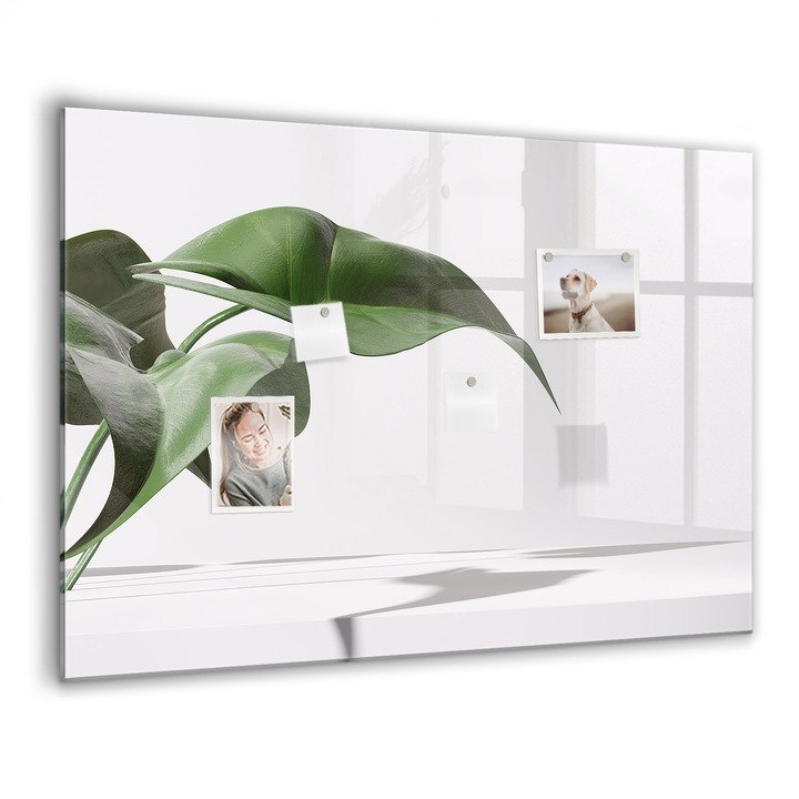 Mágneses tábla, Coloray, Absztrakt levelek, Zöld, 100x70 cm, Fekete marker, 00088434