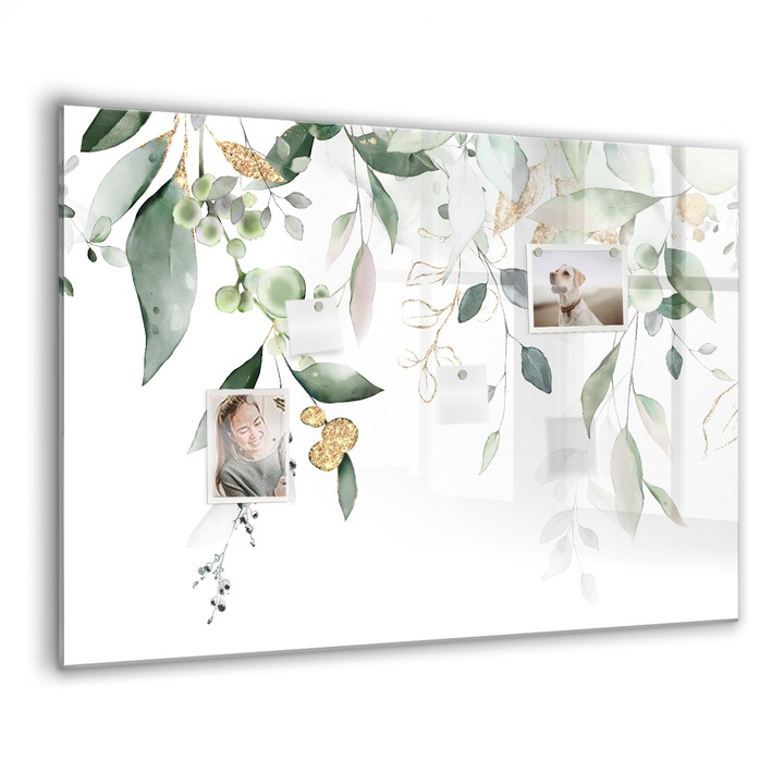 Mágneses tábla, Coloray, A növényi természet levelei, Zöld, 100x70 cm, Fekete marker, 00088422