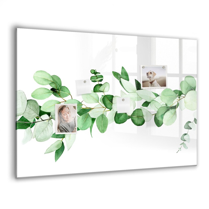 Mágneses tábla, Coloray, Egy növény gallya, Zöld, 100x70 cm, Fekete marker, 00088405