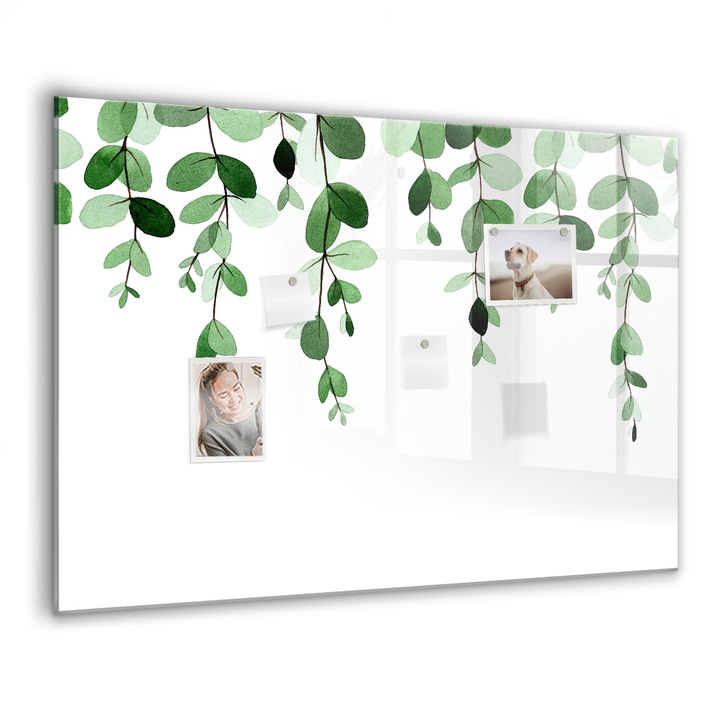 Tabla magnetica, Coloray, Planta frunze, Verde, 100 x 70 cm, Magneti, Marker negru, 010640700030300088379