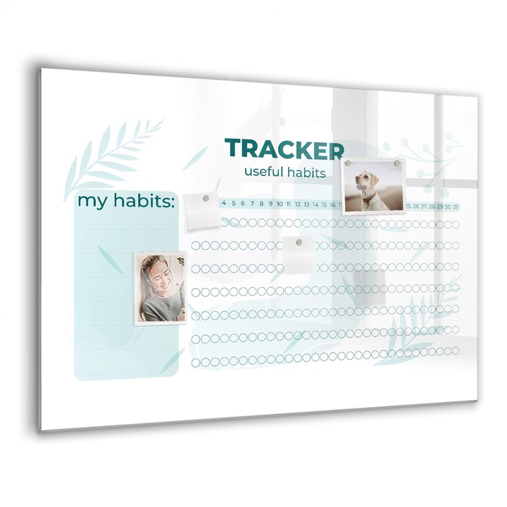 Mágneses tábla, Coloray, Szokástervező, Zöld, 100x70 cm, Fekete marker, 00088375