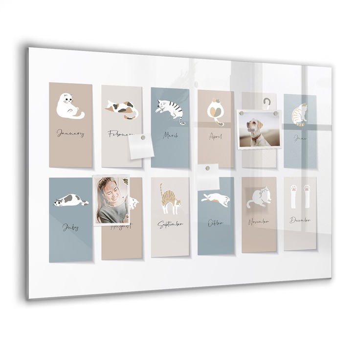 Mágneses tábla, Coloray, Macska naptár, Bézs, 100x70 cm, Fekete marker, 00088374