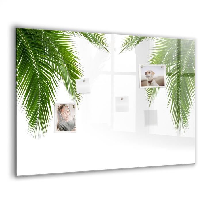 Tabla magnetica, Coloray, Palma Natura pleaca, Verde, 100 x 70 cm, Magneti, Marker negru, 010640700030300088327