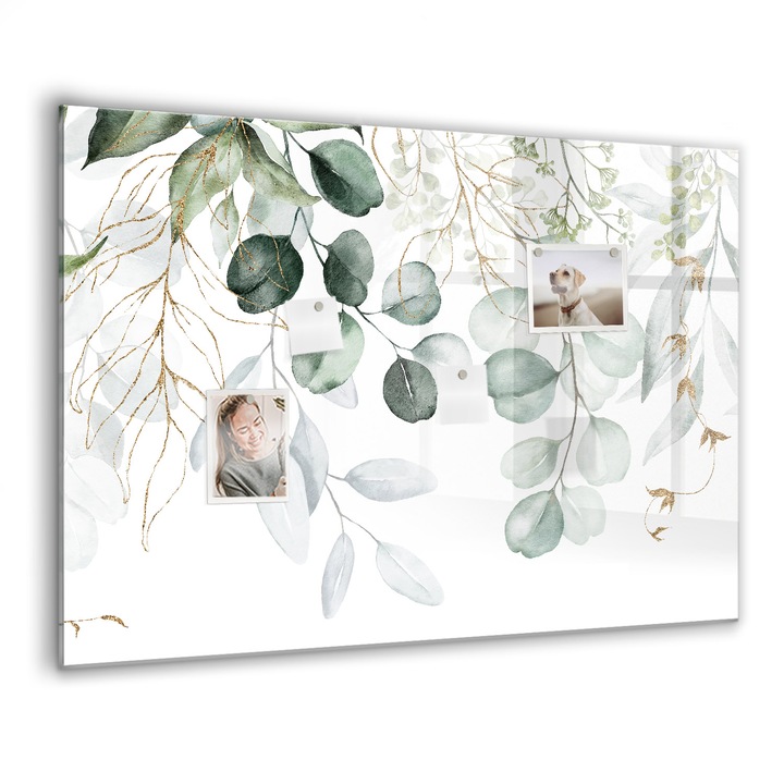 Mágneses tábla, Coloray, Függő növények, Zöld, 100x70 cm, Fekete marker, 00088308