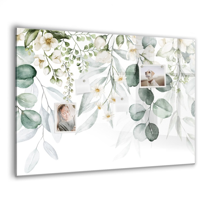 Tabla magnetica, Coloray, Plante naturale, Verde, 100 x 70 cm, Magneti, Marker negru, 010640700030300088310