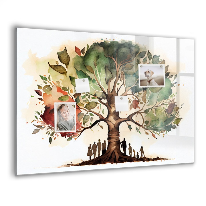 Mágneses tábla, Coloray, Családfa, Többszínű, 100x70 cm, Fekete marker, 00088295