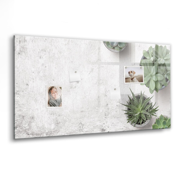 Tabla magnetica, Coloray, Plante decorative, Multicolor, 120 x 60 cm, Magneti, Marker negru, 010640700040300088653