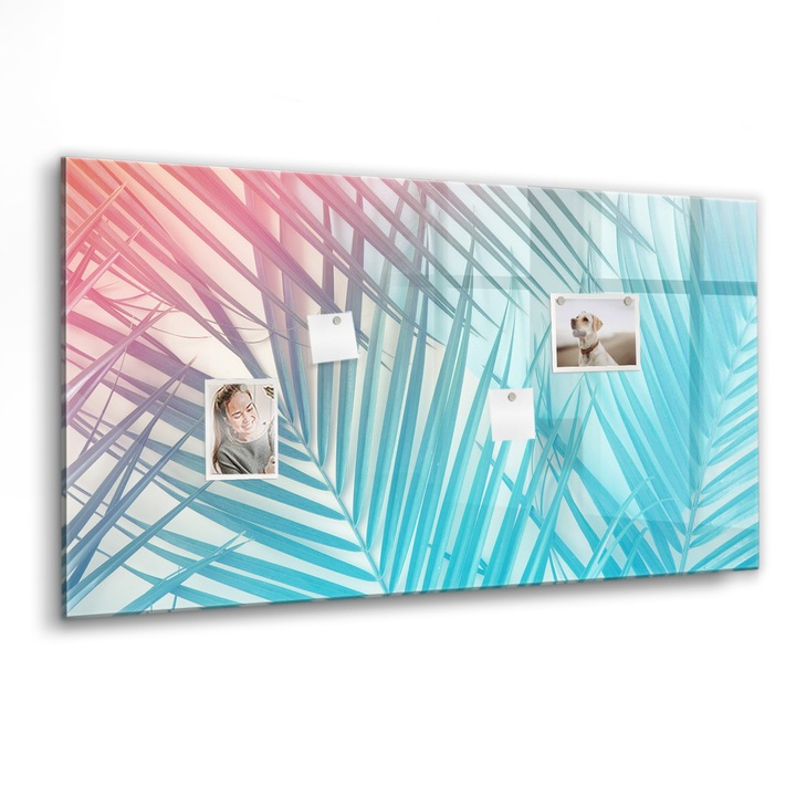 Tabla magnetica, Coloray, Palma tropicala, Multicolor, 120 x 60 cm, Magneti, Marker negru, 010640700040300088578