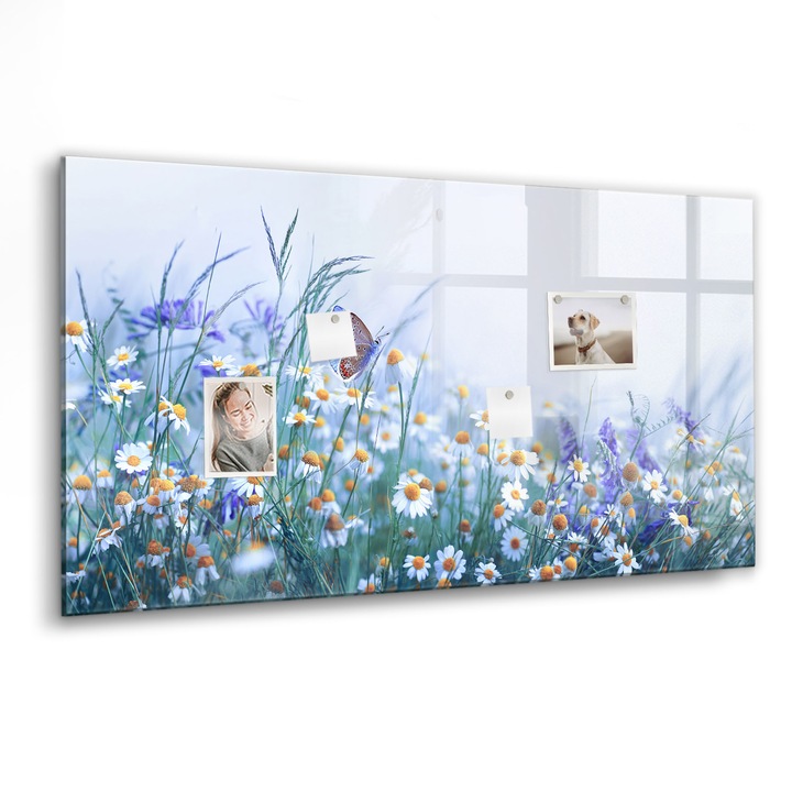 Tabla magnetica, Coloray, Fluture in pajiste, Multicolor, 120 x 60 cm, Magneti, Marker negru, 010640700040300088565