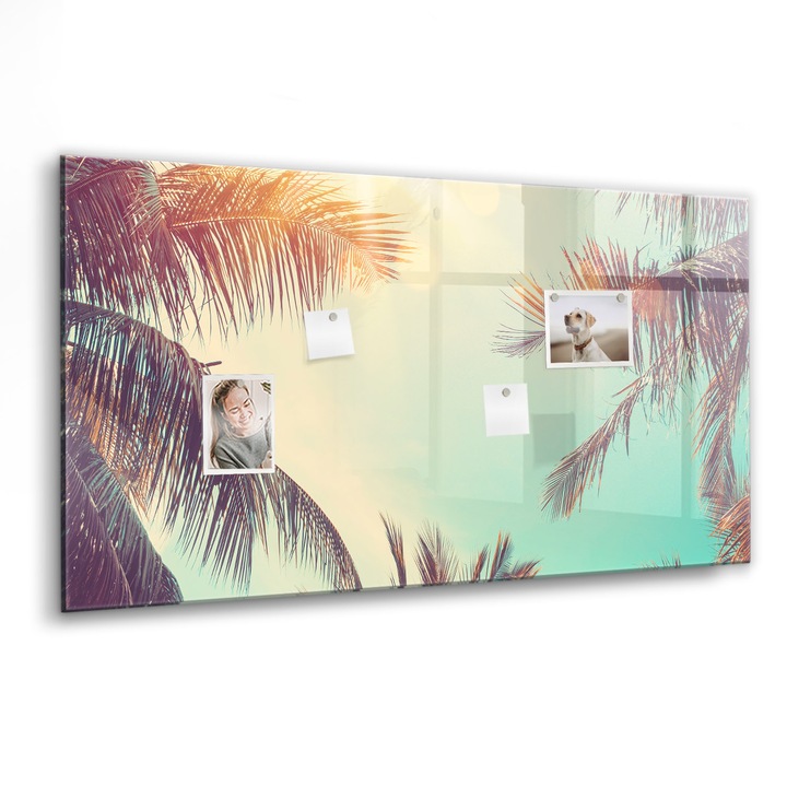 Tabla magnetica, Coloray, Palmieri tropicali, Multicolor, 120 x 60 cm, Magneti, Marker negru, 010640700040300088465