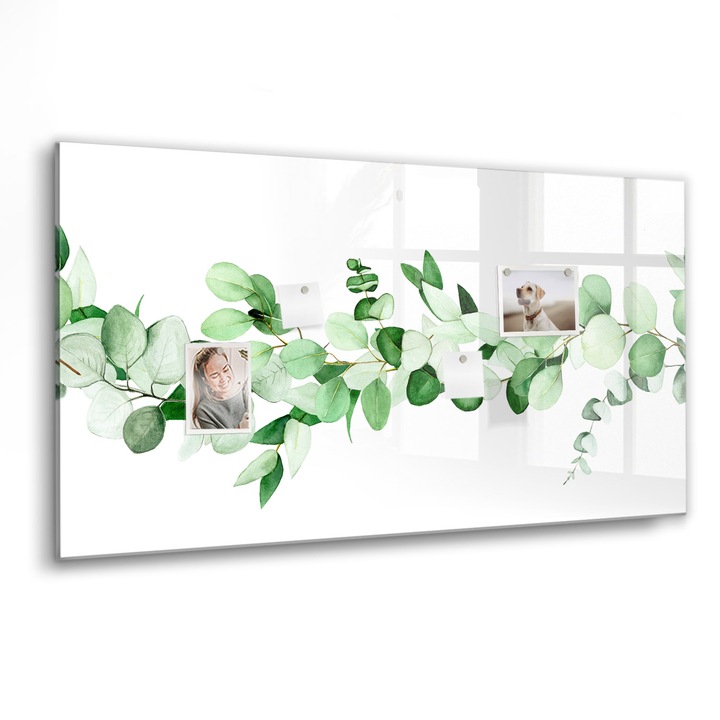 Tabla magnetica, Coloray, Ramuri ale plantei, Verde, 120 x 60 cm, Magneti, Marker negru, 010640700040300088405