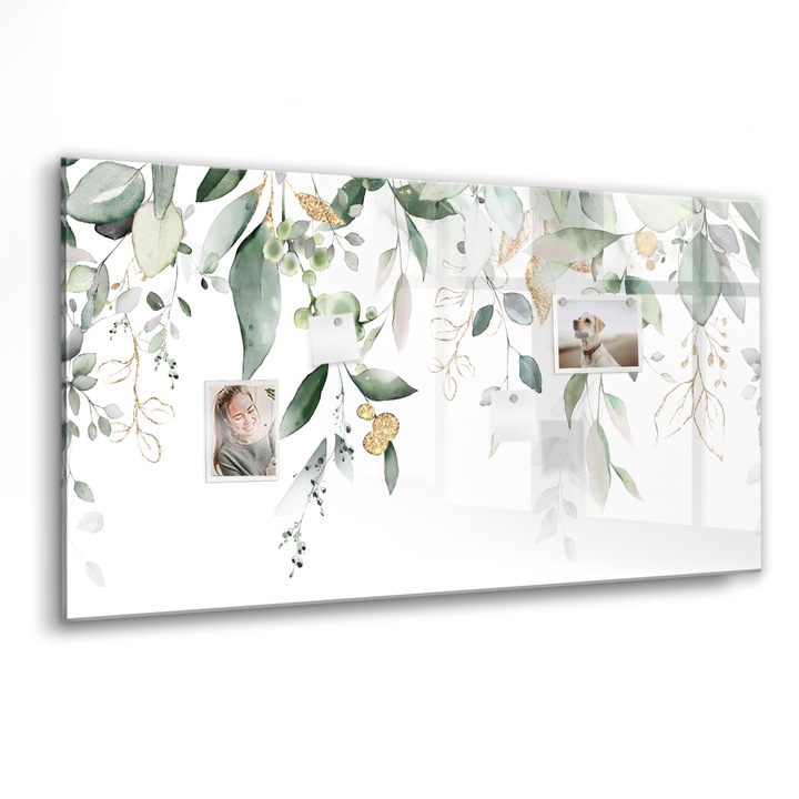 Tabla magnetica, Coloray, Planta Natura, Verde, 120 x 60 cm, Magneti, Marker negru, 010640700040300088422