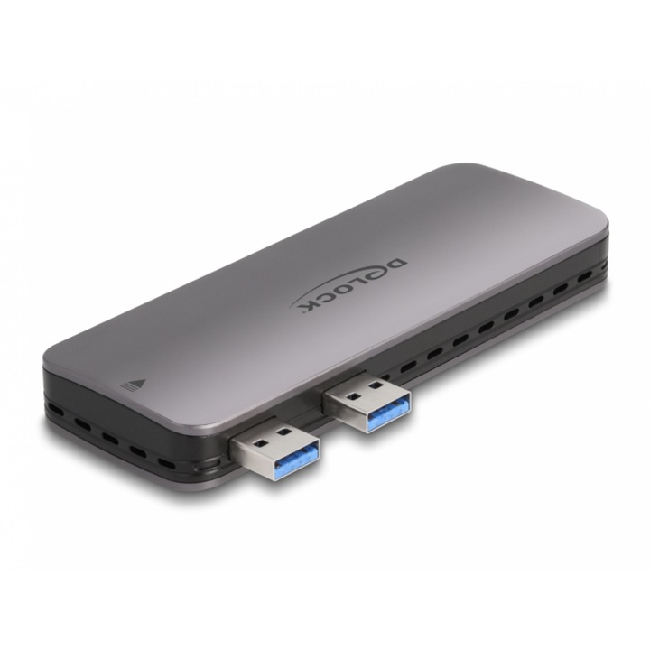 Rack extern 2 x USB 3.2 Gen2-A la M.2 NVMe pentru PlayStation 5, Delock 42013