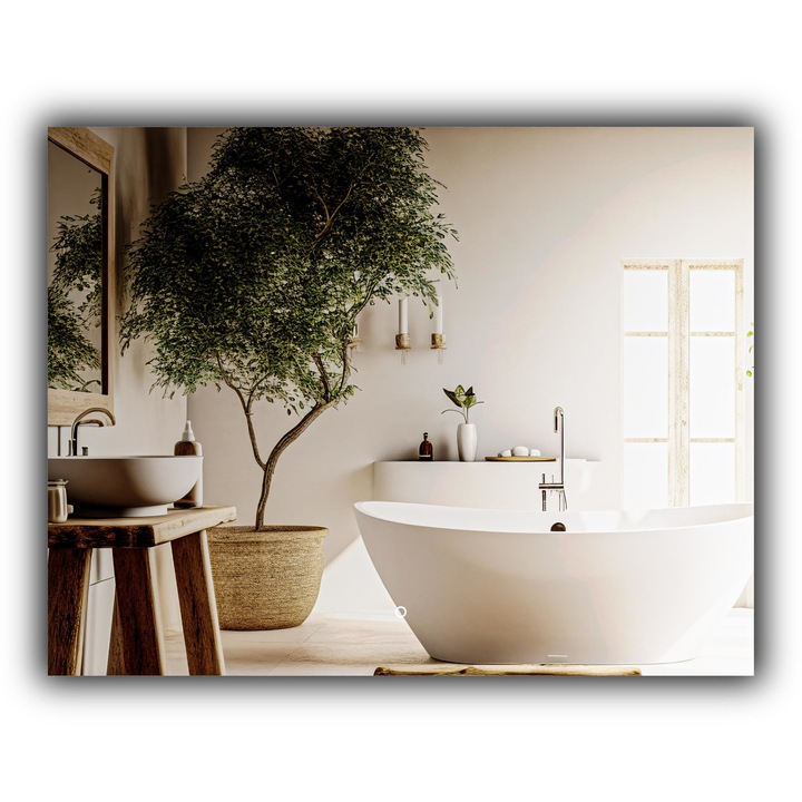Oglinda pentru baie cu iluminare LED, Home & Decor, Classa A, Sticla, Suspendat, Intrerupator touch, Neutra, Demeter, 90 x 40 cm