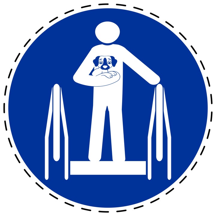 Sticker Indicator Autoadeziv de Obligativitate - Cainii Trebuie Sa Fie Transportati 5 cm