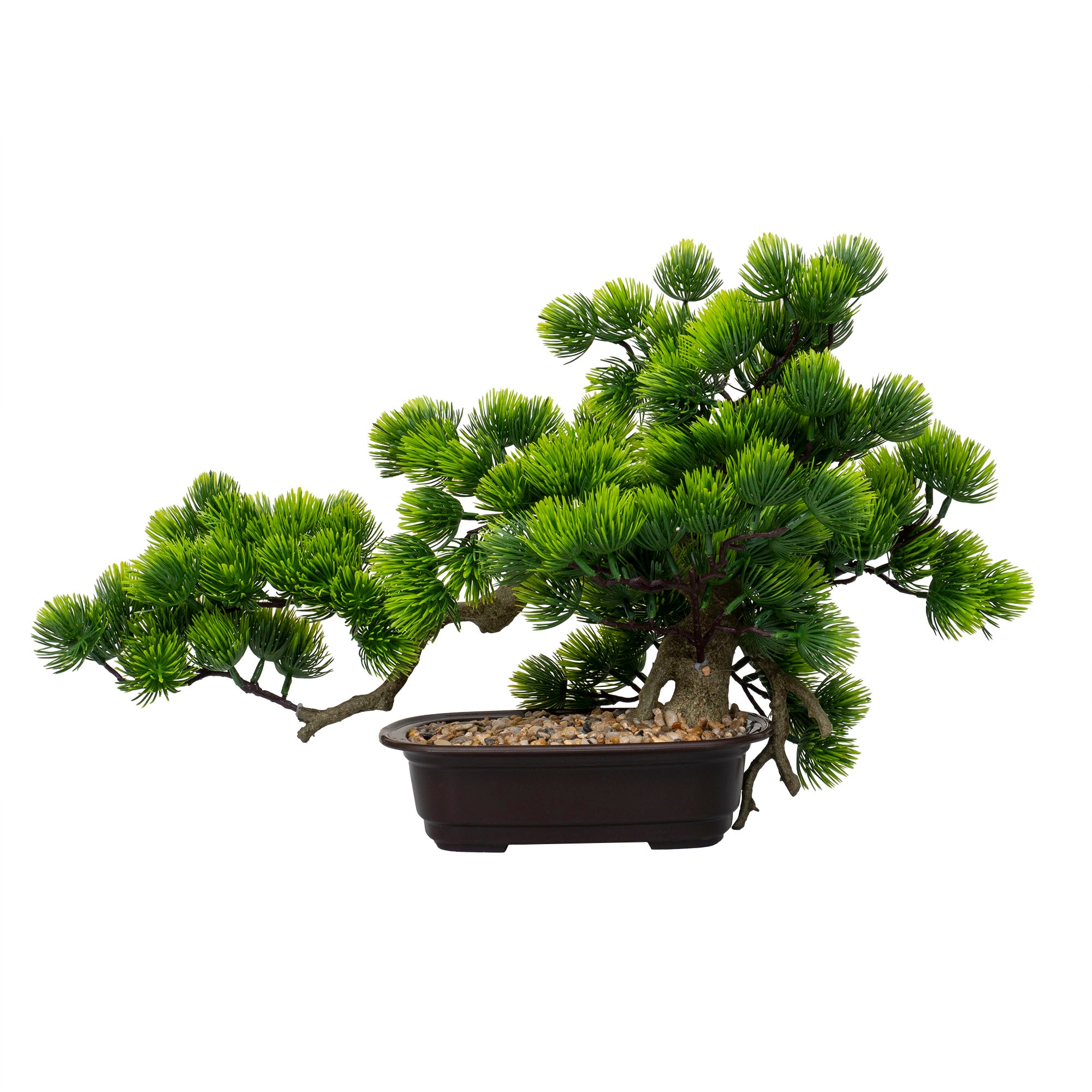 bonsai zen Zen-Bonsai-Set – 6 Bonsais zum Selberziehen mit Zubehör main image 0