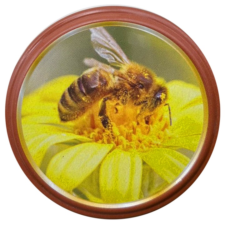 Set Capace borcane, Metal, 82 mm, 20 bucati, Multicolor