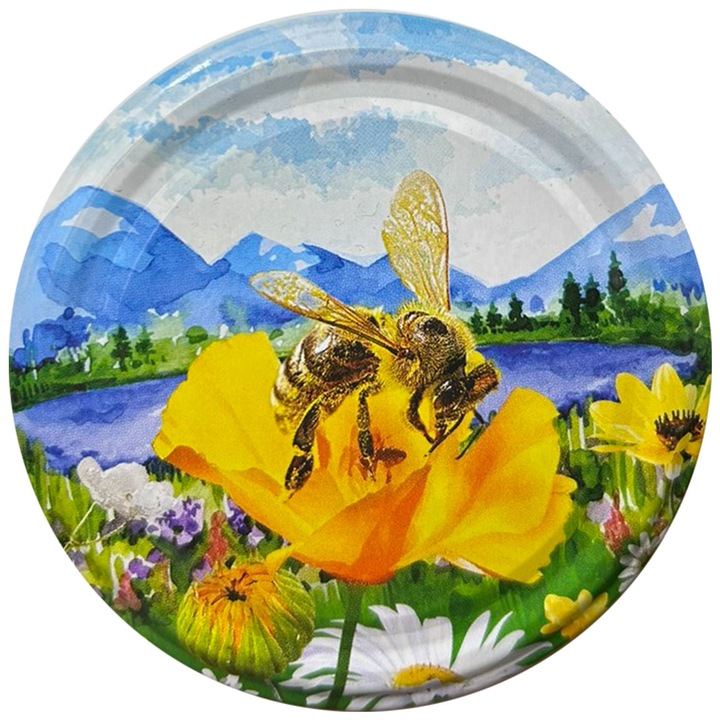 Set capace cu filet, Danros, Honey 8, F82, Metal, 20 buc