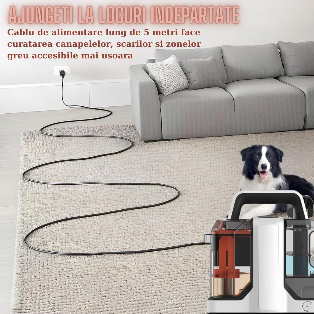 Aspirator Cu Spalare, Ila Product®, Aspirator Spalare Tapiterie Si Covoare, Motor 450W, Putere 11000 Pa, Sistem Dublu Rezervoare 1.08L + 0.8L, Perii Inter schimbabile, Furtun Si Cablu Lung, Curatare Rapi da Pete Adanci, Compact Si Usor De Depozitat, Gri
