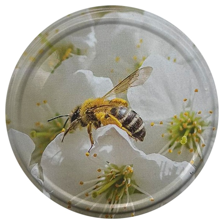 Set 20 Capace cu filet, Metal, 82 mm, Multicolor