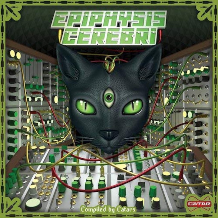 Epiphysis Cerebri [CD]