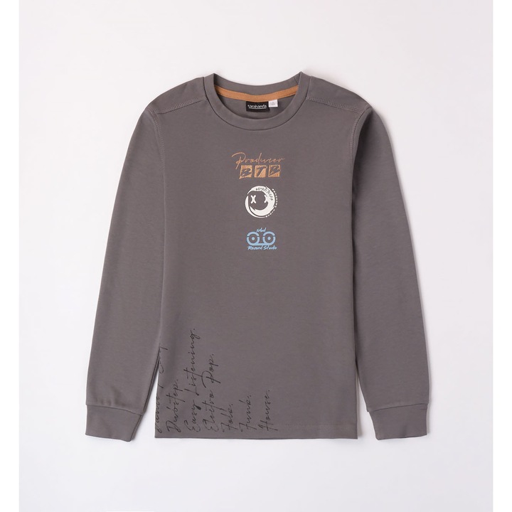 Bluza cu imprimeu pentru baiat, Sarabanda, 0.7438, Gri